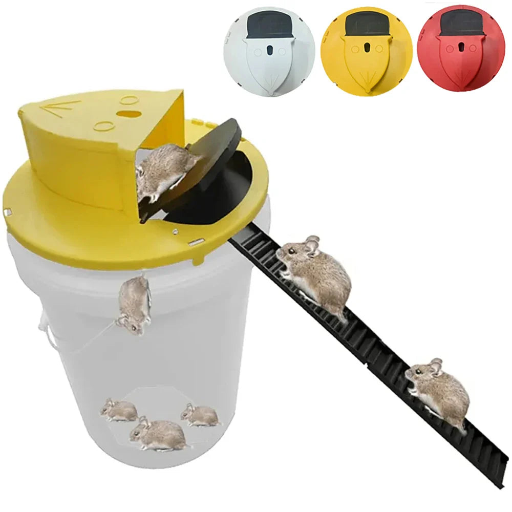 Bucket Lid Mouse Trap Glitch Trends