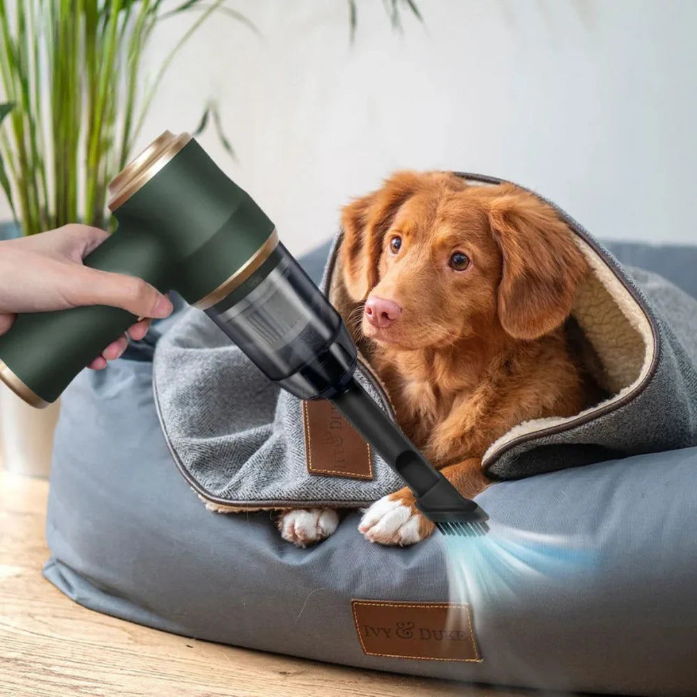 Portable Power Vacuum Cleaner