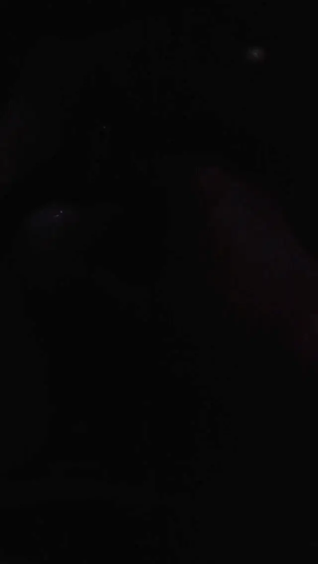 Purse Heart Light Glitch Trends