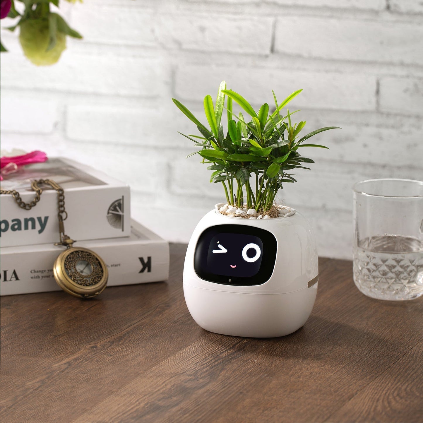 Smart Plant Pet Glitch Trends