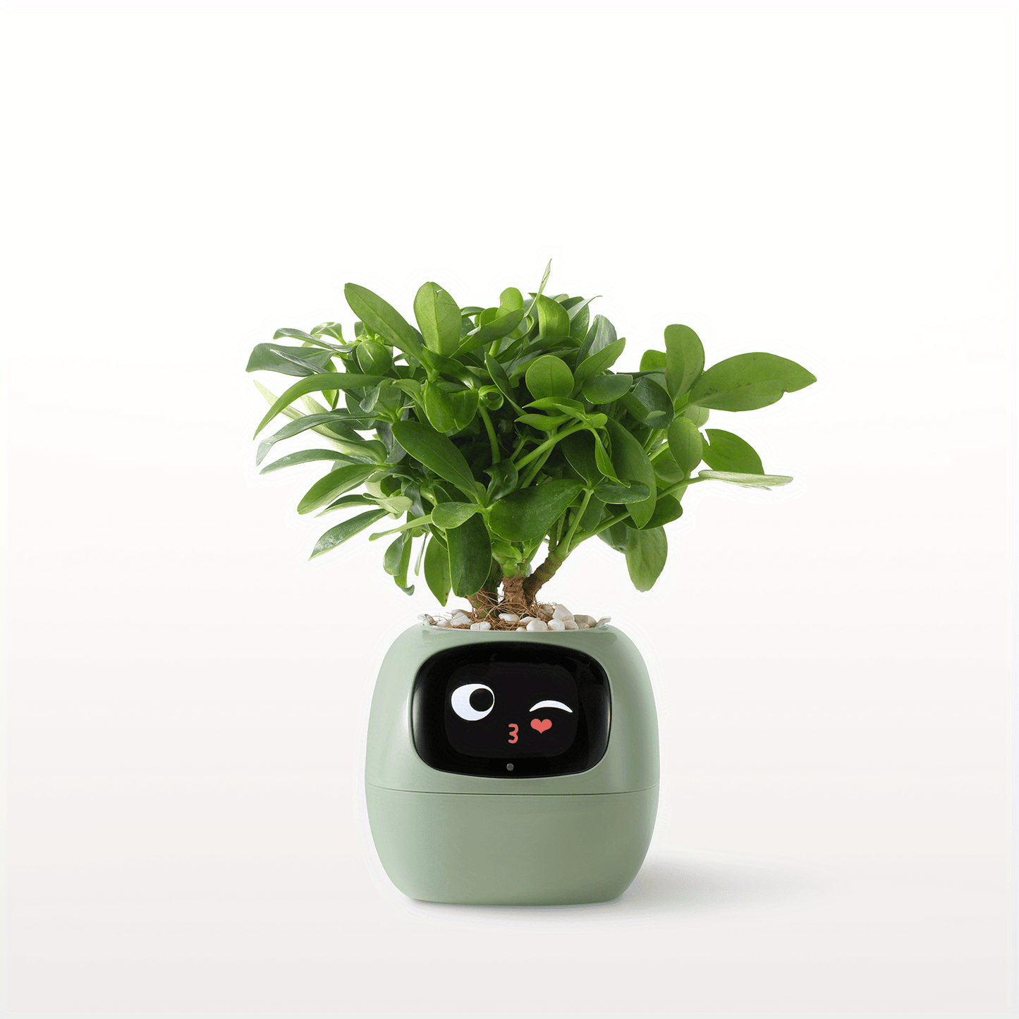 Smart Plant Pet Glitch Trends