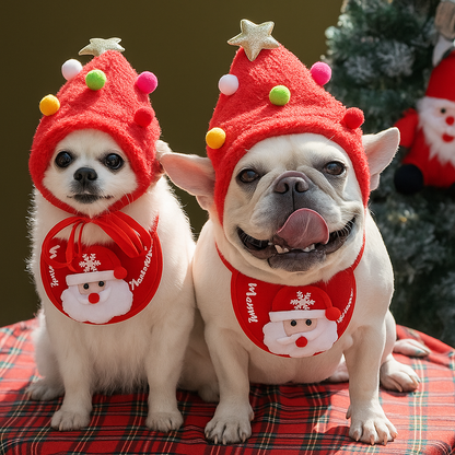 #1 Holiday Pet Outfit
