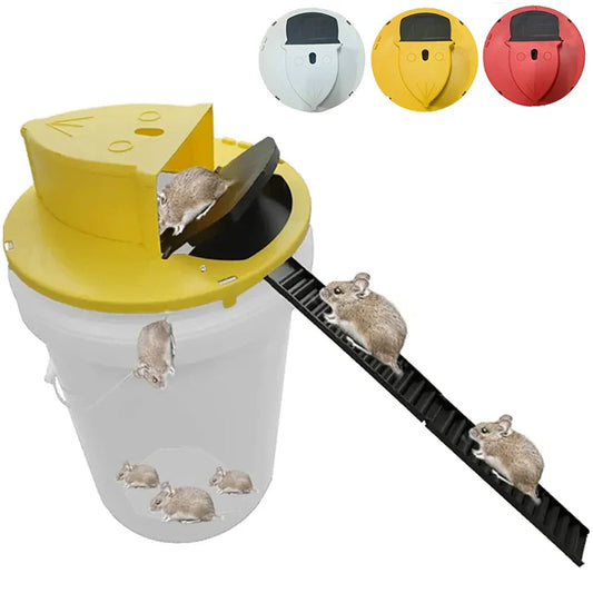 Bucket Lid Mouse Trap Glitch Trends