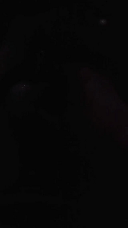Purse Heart Light Glitch Trends