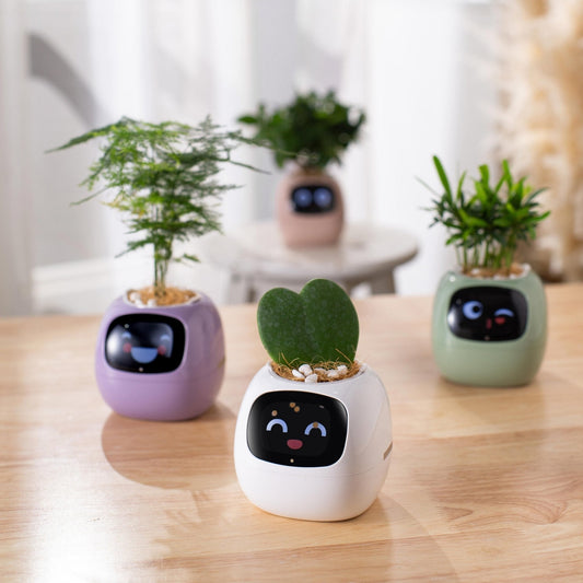 Smart Plant Pet Glitch Trends