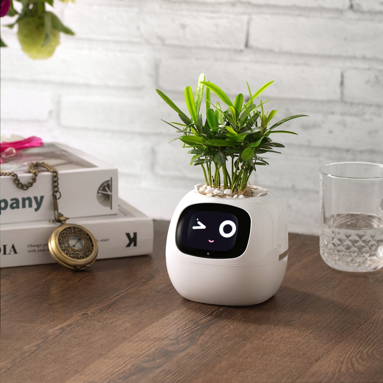 Smart Plant Pet Glitch Trends