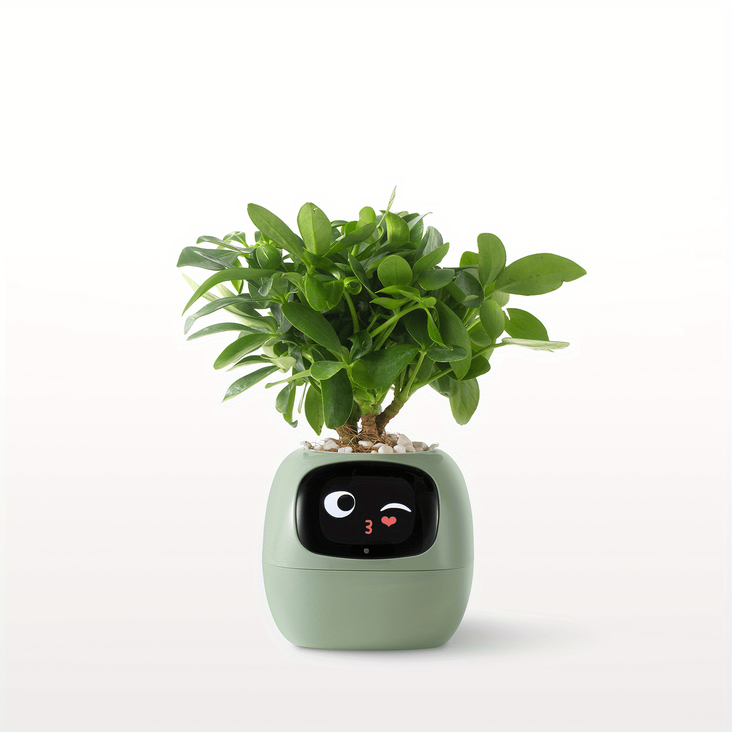 Smart Plant Pet Glitch Trends